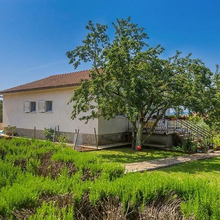 Apartments Marica Skrbčići Eksteriør billede